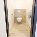 Pronajměte si 2 ložnic/e byt o rozloze 90 m² v Prague