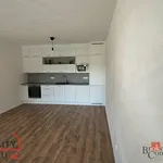 Rent 2 bedroom apartment in Plzeň