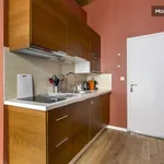 Rent 1 bedroom apartment of 32 m² in Lyon