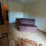 Rent 1 bedroom house of 25 m² in Marvejols