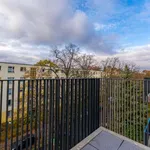 Rent a room of 70 m² in berlin