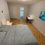 Rent 1 bedroom apartment in Old Toronto