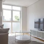 Rent 1 bedroom apartment of 65 m² in madrid