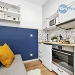 Rent 1 bedroom apartment in Brno