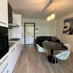 Rent 3 bedroom apartment of 80 m² in Pescara