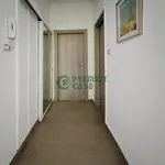 Rent 3 bedroom apartment of 50 m² in Turin