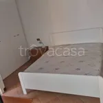 Rent 3 bedroom apartment of 70 m² in Piacenza