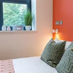 Rent 1 bedroom apartment in manchester