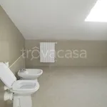 Rent 1 bedroom apartment of 100 m² in Potenza