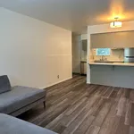 Rent 3 bedroom apartment of 91 m² in Austin