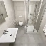 Rent 1 bedroom apartment in Brno