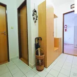 Rent 2 bedroom apartment in Žďár nad Sázavou