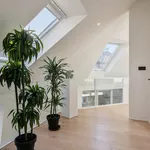 Huur 1 slaapkamer appartement in Antwerpen