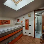 Rent 3 bedroom apartment of 80 m² in Rome