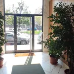 Rent 4 bedroom apartment of 125 m² in Torino