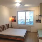 Pronajměte si 1 ložnic/e byt o rozloze 30 m² v Prague