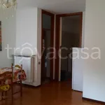 Rent 1 bedroom apartment of 40 m² in Induno Olona