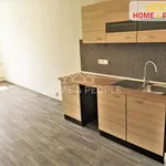 Rent 1 bedroom apartment in Chodov