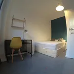 Alquilar 8 dormitorio apartamento en Valencia