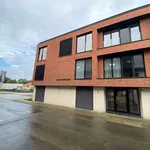  appartement avec 1 chambre(s) en location à Alken