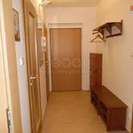 Rent 2 bedroom apartment of 45 m² in Rudná