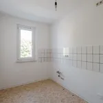 Rent 2 bedroom apartment of 48 m² in Chemnitz