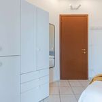 Rent a room in Torino