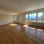 Rent 3 bedroom apartment in Zurich