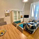 Rent 3 bedroom apartment of 110 m² in florence