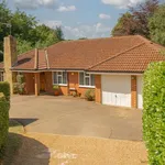 Rent 1 bedroom house in Mole Valley