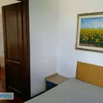 Rent 2 bedroom apartment of 40 m² in Rome