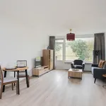 Rent 3 bedroom apartment of 66 m² in Stadshart