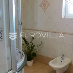 Rent 8 bedroom house of 600 m² in Zagreb