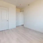 Rent 1 bedroom apartment in Queens