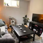  appartement avec 1 chambre(s) en location à Bradford West Gwillimbury (Bradford)