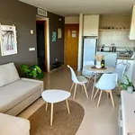 Rent 1 bedroom apartment of 57 m² in Alicante