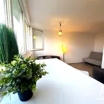 Rent 1 bedroom apartment of 27 m² in Wrocław