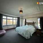 Rent 3 bedroom apartment in Christchurch