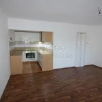 Rent 1 bedroom house of 73 m² in Žarošice