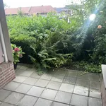 Rent 1 bedroom apartment in Munstergeleen