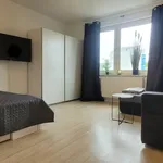 Rent 1 bedroom apartment of 35 m² in Brunswick