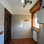 Affitto 5 camera casa di 140 m² in Parma