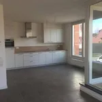 Rent 2 bedroom apartment in Oostmalle