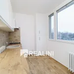 Pronájem bytu 2+1 54m²