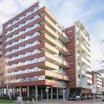 Rent 4 bedroom apartment of 120 m² in Stadshart