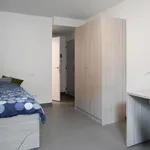 Rent 1 bedroom apartment in Tournai