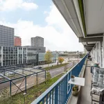 Rent 4 bedroom apartment in Heerlen