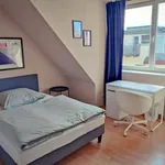 Rent a room of 70 m² in Berlin