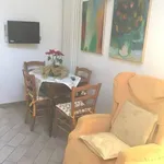 Rent 2 bedroom apartment of 40 m² in Ravenna