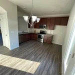 Rent 1 bedroom apartment in Belmont